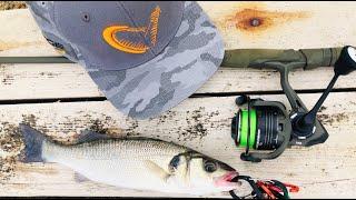 FROM THE SHORE WE CAUGHT SEA BASS BREAM - Sea Bass Fishing - Topwater Sea Bass Fishing