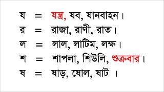 বাংলা ভাষা রিডিং পড়া Bengali language reading বানান শিক্ষা Learning অ আ ই ঈ উ ঊ ঋ এ ঐ ও ঔ