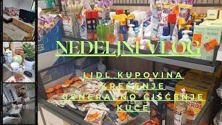 NEDELJNI VLOG - SA MNOM U LIDL KUPOVINI  KREČENJE I GENERALNO ČIŠĆENJE KUĆE  l NINA M.