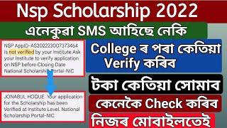 NSP Scholarship not verified institute level কি কৰিব লাগিব  টকা কেতিয়া সোমাব বেংকত 2023