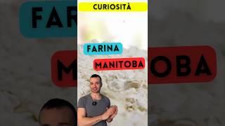 Farina Manitoba? Cos’è? #pizza #farina #pizzafattaincasa