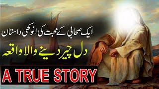 Muhabbat Ki Sachi Kahani  Hzrat Abu Al Aas Sahabi Ki Dastan  True Story  Rohail Voice
