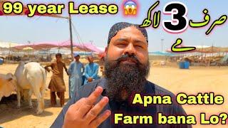 Sirf 3 Lakh Me Northen Bypass Mandi Ka Qareeb Apna Cattle Farm  99 Year Lease   Farm Houses