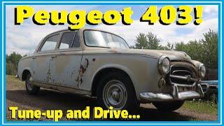 1960 Peugeot 403 Tune-Up Time... Will it Make it around the Yard?