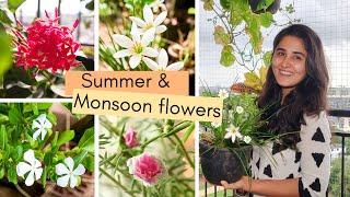 5 Unique Flowering Plants for Indian Summers and Monsoons to Buy