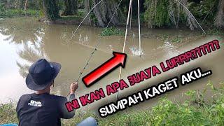 fuul strike nangkul di sore hari tendangan ikan ini seperti buaya yg sedang marah..