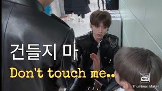 lee know battling everyone in stray kids dont you dare to touch him part 2 리노는 야만적이다 2