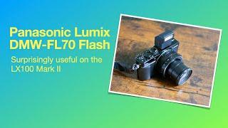 The Panasonic DMW FL70 Flash a Surprisingly Useful Tool