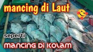 Mancing ikan di laut  seperti mancing di kolam strike berkali kali @am fishing7