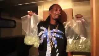 Snoop Dogg с пакетами травы