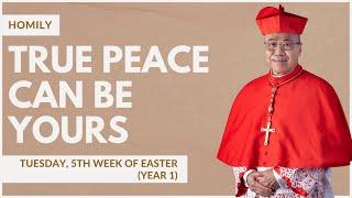 True Peace Can Be Yours - William Cardinal Goh Homily - 09 May 2023