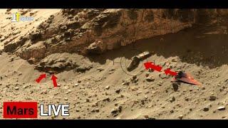 NASAs Mars Rover Capture Latest Unbelievable Terrifying Images of Mars Life - Perseverance Footage