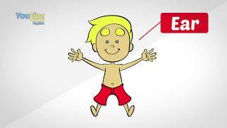 English for Kids Parts of the body - Do you know your body?