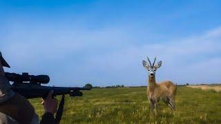 OPENING OF THE MALE ROE DEER HUNTING 2024