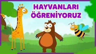 Hayvanları Tanıyalım - Hayvanlar ve Sesleri - Çocuklar İçin Eğitici Eğlenceli Türkçe Çizgi Film