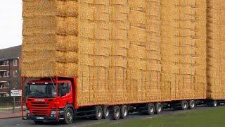 Ultimate Cow Transport & Milking on a VOLVO Farm - Stunning Calf Hay Bale Adventure