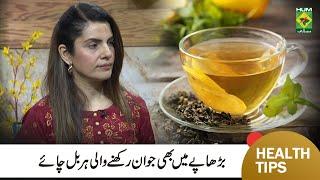 Forever Young Tea  Best Natural & Herbal Tea for Always Looking Young  Lively Weekend  MasalaTV