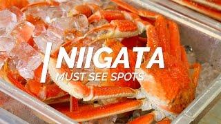 All about Niigata-Must see spots in Niigata  Japan Travel Guide