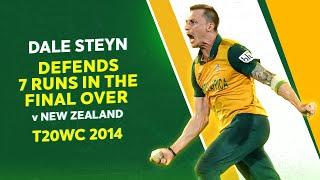 Dale Steyns stirring spell stuns New Zealand  T20WC 2014