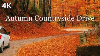 Canada 4K  1 Hour Autumn Countryside Drive 2022