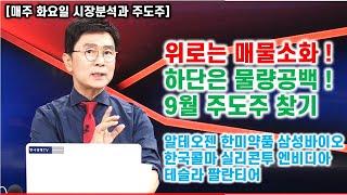 김종철 원포인트레슨 위로는 매물소화  하단은 물량공백  9월주도주 찾기