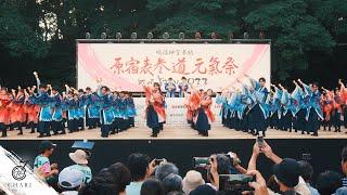 【8K】早稲田大学 東京花火『はれびより』原宿表参道元氣祭スーパーよさこい2023 原宿口）