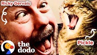 Watch Ricky Gervais Fall In Love With His Foster Cat  The Dodo