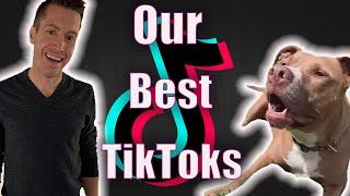 Our best TikTok videos