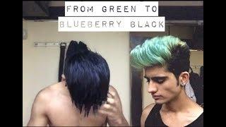 Hair Transformation From Green To Blueberry Black