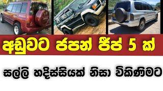Vehicle for sale in Sri lanka  low price jeep for sale  Jeep for sale  low budget vehicle  Jeep