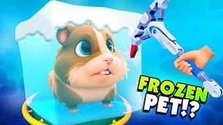 Tiny PET Gets Stuck In A GIANT ICE CUBE - Pets & Stuff VR