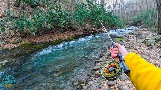 My Biggest Brook Trout of the Year Fly Fishing for brown brook and rainbow trout