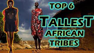 Top 6 TALLEST African Tribes  SOMALI DINKA MAASAI NUER ANUAK or TUTSI?