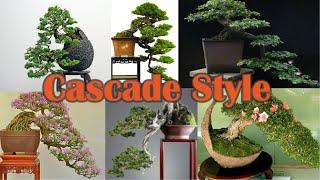 Inspirasi bonsai cascade style gaya air terjun