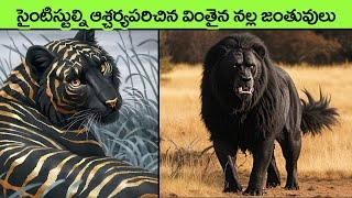 Most Unique black animals in the World  unique animals  facts in telugu  interesting facts