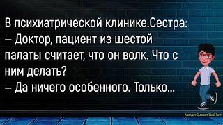 Друзья Расспрашивают Туриста...Большой Сборник Смешных АнекдотовДля Супер Настроения