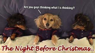 Ep#7 Dachshund Mischief on the Night Before Christmas