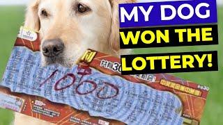 My Dog WON THE LOTTERY