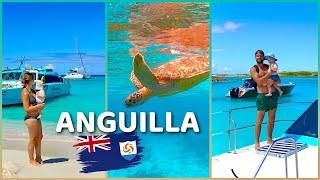 ANGUILLA ALL the Top Sights on a DAY TRIP from Saint Martin