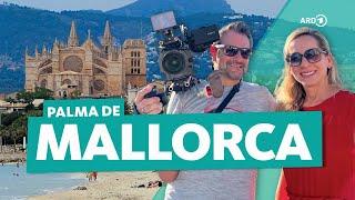 Palma de Mallorca Inexpensive city trip to the Spanish Balearic Island  WDR Reisen