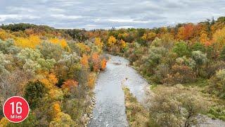 the beauty and tranquility of fall colors