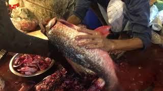 Fastest Rohui Fish Cutting in The fish market - Fish Cutting 2020