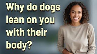 Why do dogs lean on you with their body?