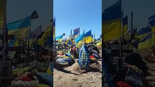 A Sea of Ukrainian Warriors - Kharkiv - May 2023 - RIP - Lest  We Forget