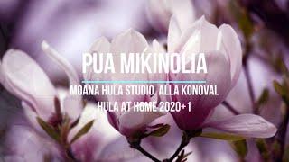 Pua mikinolia - hula auana - kupuna group