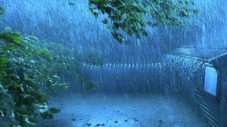 Sleep Immediately with Terrible Rainstorm Powerful Wind Heavy Thunder Sounds in Stormy Night