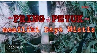 Fring petuk