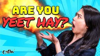  What is Yeet Hay? Hot Air 熱氣 Shang Huo 上火