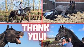 Thank you all very much  Which horses?  A birth  Riding @home  Friesian Horses Part 33