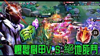 星辰樹懶洛倫爆裂樹甲比絕地死鬥好用？！S25弗洛倫擊殺精華Highlight